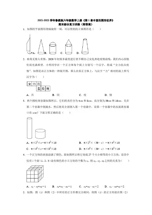 2021-2022学年鲁教版六年级数学上册《第1章丰富的图形世界》期末综合复习训练(附答案)