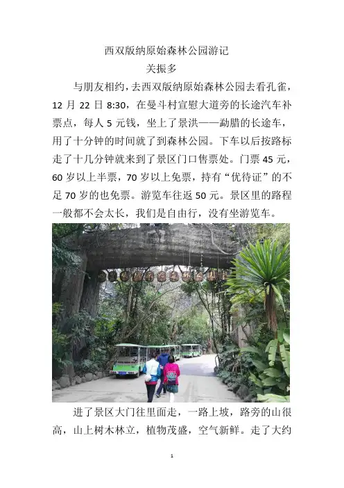 西双版纳原始森林公园游