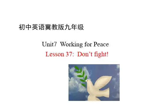 冀教版九年级全册英语课件：unit7 Lesson37：Don’t Fight! (共15张PPT)