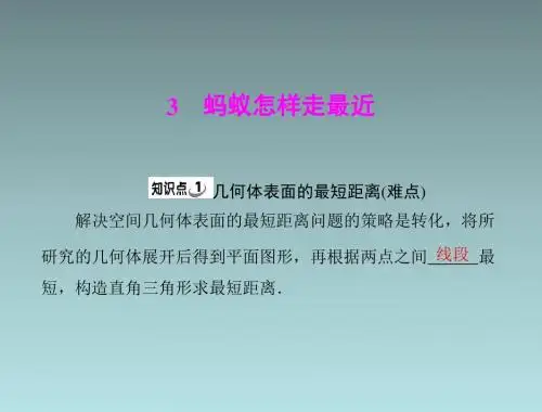数学:第一章-3《蚂蚁怎样走最近》(北师大版八年级)