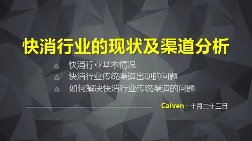 快消行业现状及渠道分析ppt课件