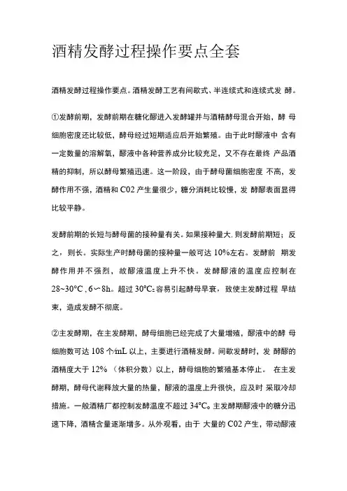 酒精发酵过程操作要点全套