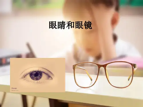 [人教版]《眼睛和眼镜》优秀课件2