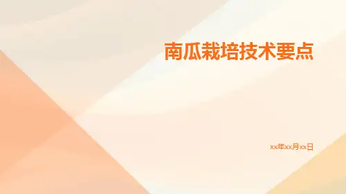 南瓜栽培技术要点