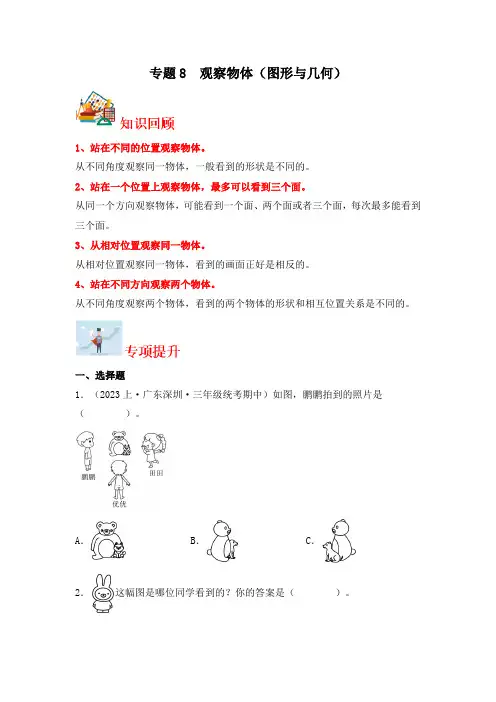 2024学年三年级上册数学寒假专题8  观察物体(图形与几何)-专项提升(北师大版)