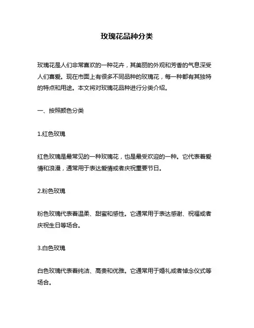 玫瑰花品种分类