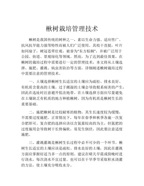 楸树栽培管理技术