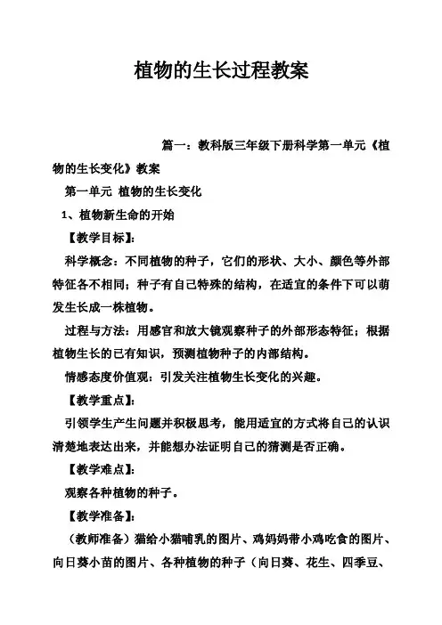 植物的生长过程教案