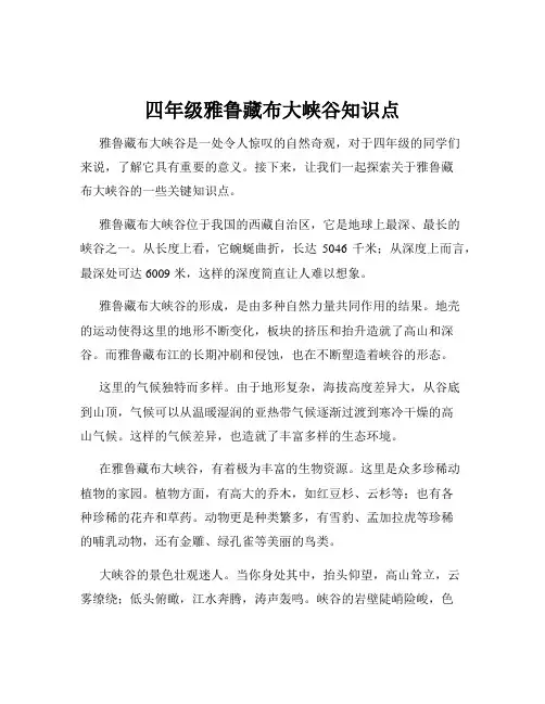 四年级雅鲁藏布大峡谷知识点