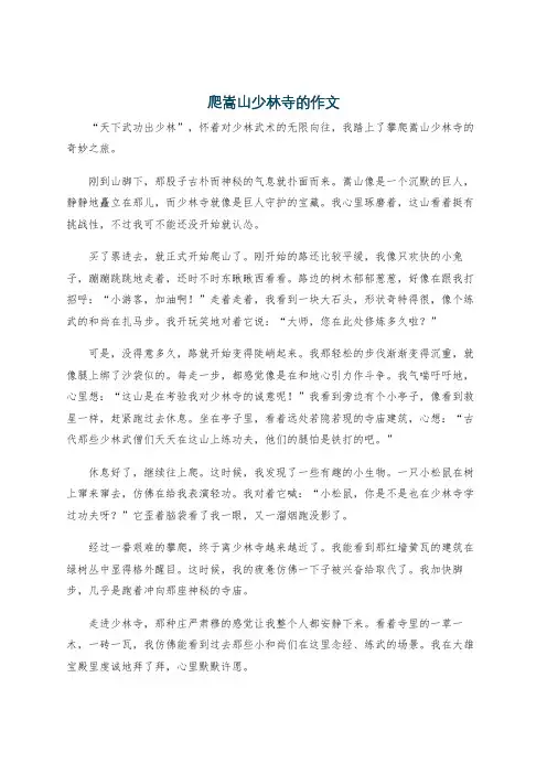 爬嵩山少林寺的作文