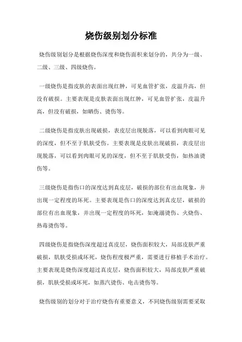 烧伤级别划分标准