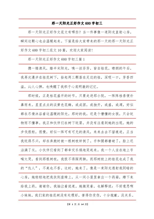 那一天阳光正好作文600字初三