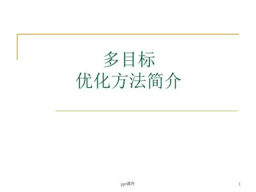 第十章 多目标优化方法简介  ppt课件