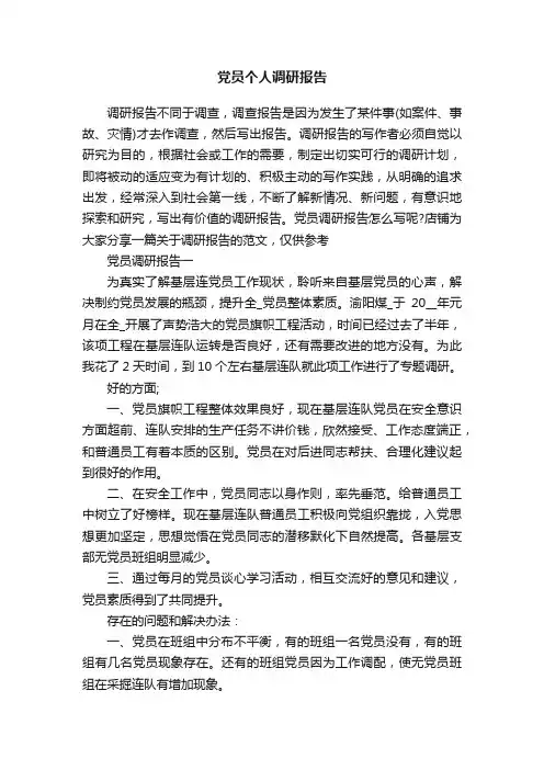党员个人调研报告