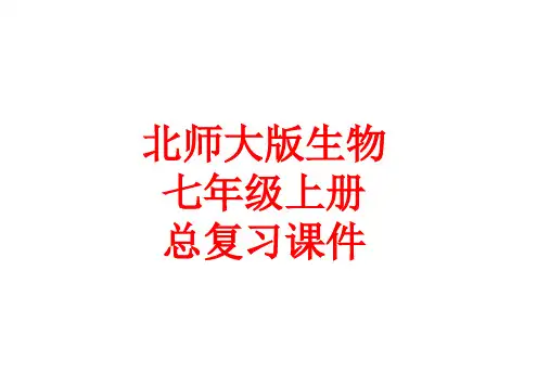 北师大版生物七年级上册总复习ppt课件(37张)