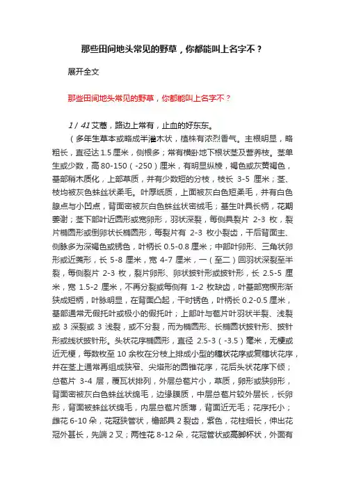 那些田间地头常见的野草，你都能叫上名字不？