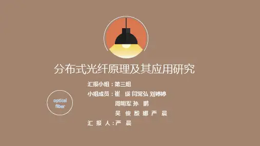 分布式光纤传感技术