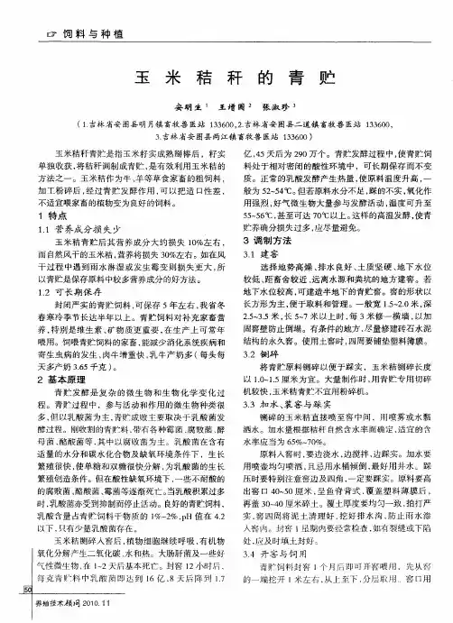 玉米秸秆的青贮