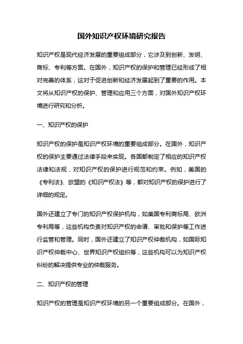 国外知识产权环境研究报告