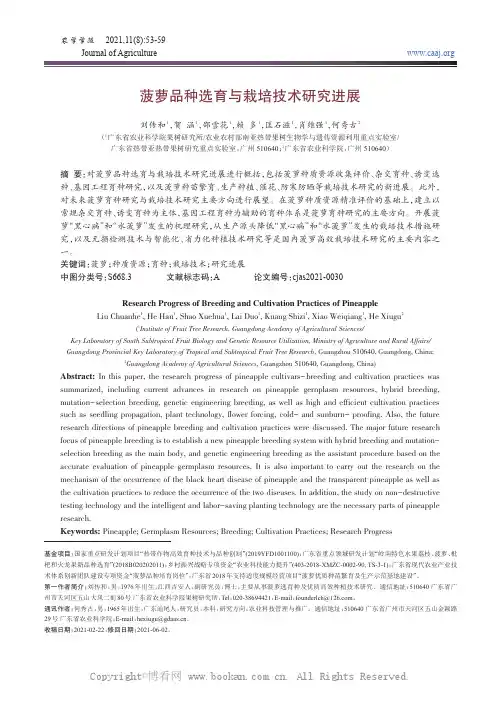 菠萝品种选育与栽培技术研究进展