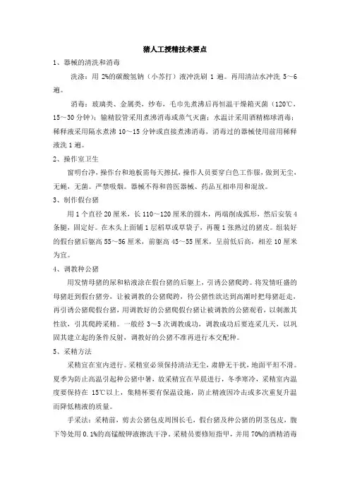 猪人工授精技术要点