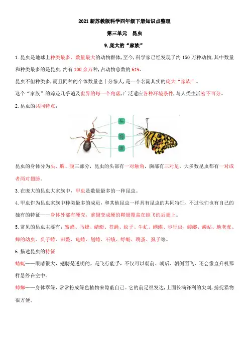 三单元《昆虫》知识点整理(13)