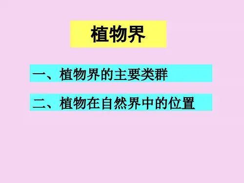植物界-ppt课件