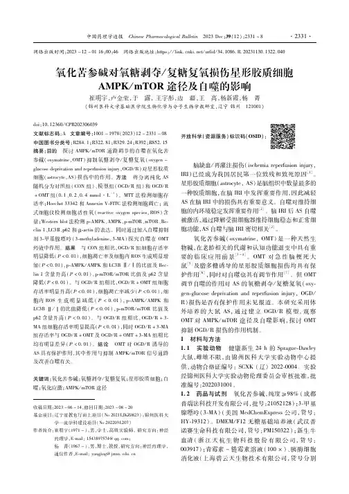 氧化苦参碱对氧糖剥夺／复糖复氧损伤星形胶质细胞AMPK／mTOR途径及自噬的影响