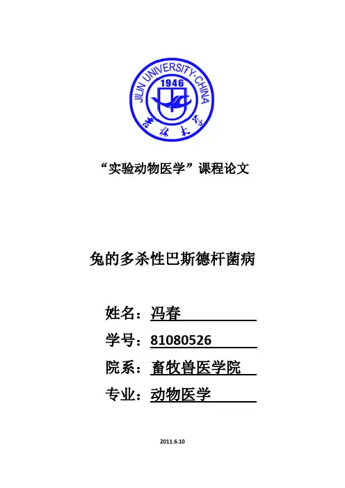 兔的多杀性巴斯德杆菌病