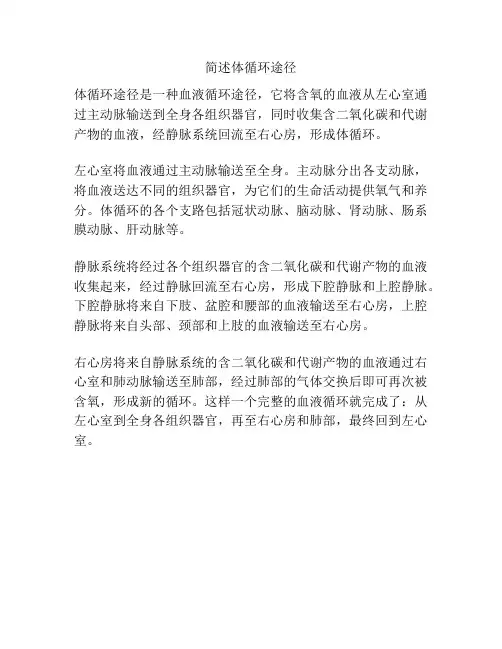 简述体循环途径