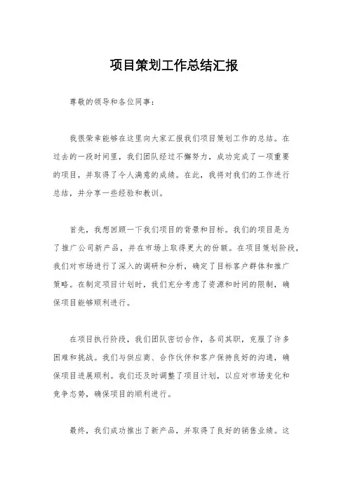 项目策划工作总结汇报