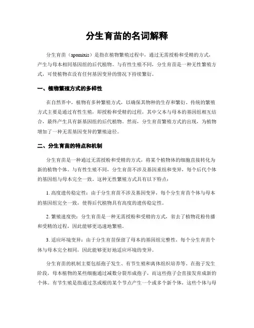 分生育苗的名词解释