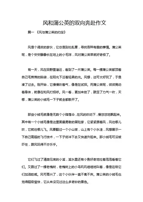 风和蒲公英的双向奔赴作文