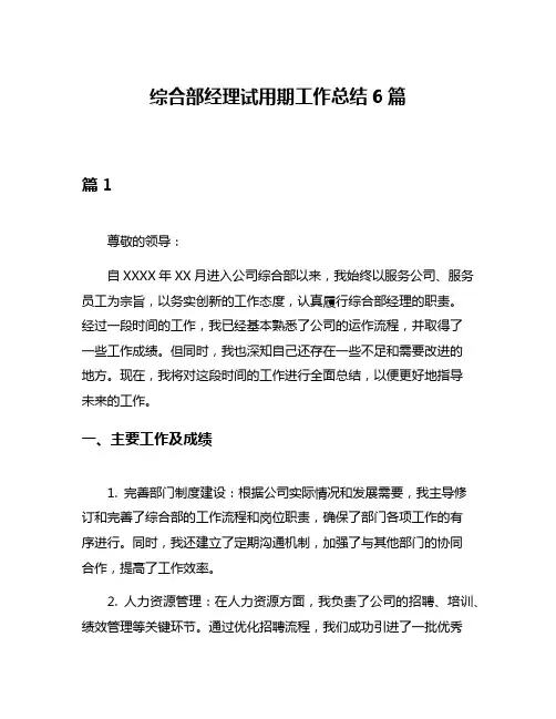 综合部经理试用期工作总结6篇