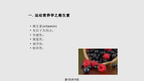 健身教练课程运动营养学