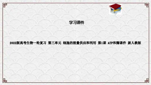 2022版高考生物一轮复习 第三单元 细胞的能量供应和利用 第1课 ATP和酶课件 新人教版