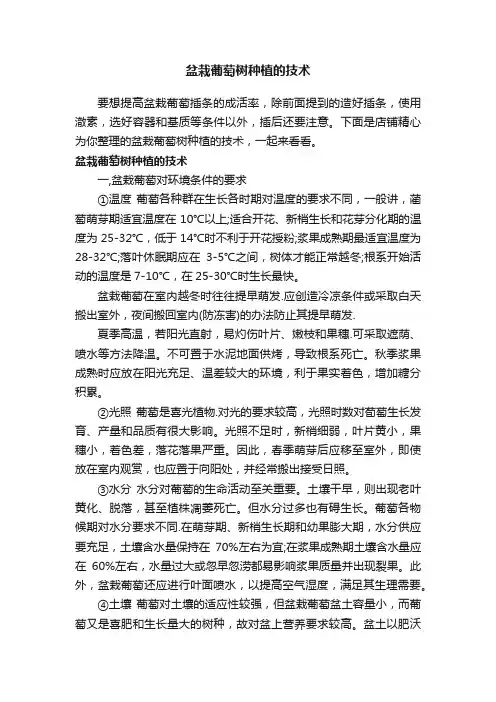 盆栽葡萄树种植的技术