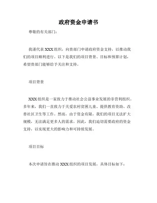 政府资金申请书