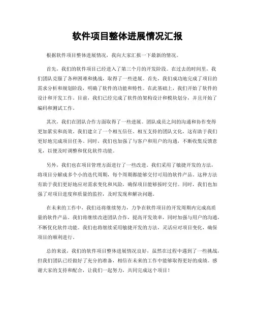 软件项目整体进展情况汇报