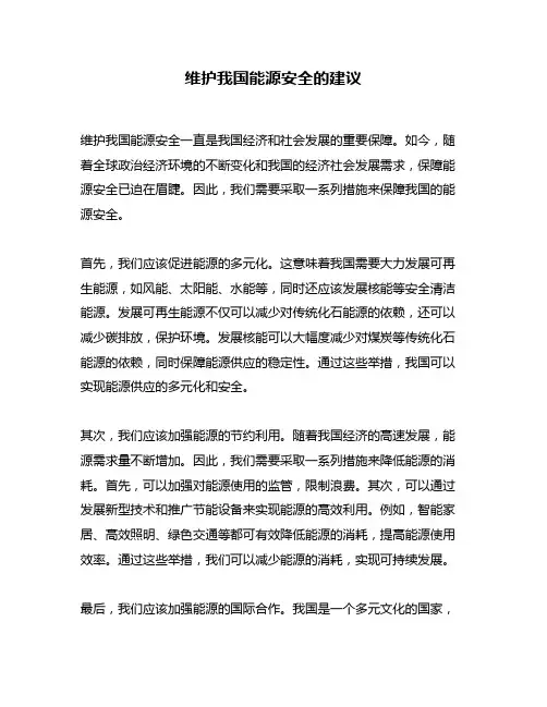 维护我国能源安全的建议
