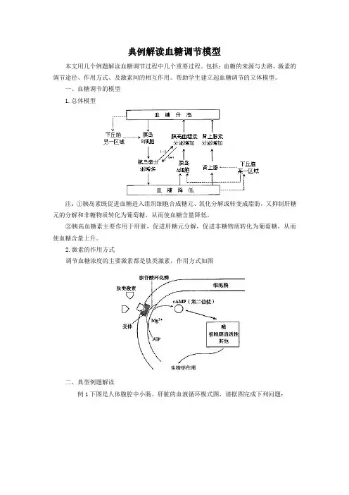典例解读血糖调节模型