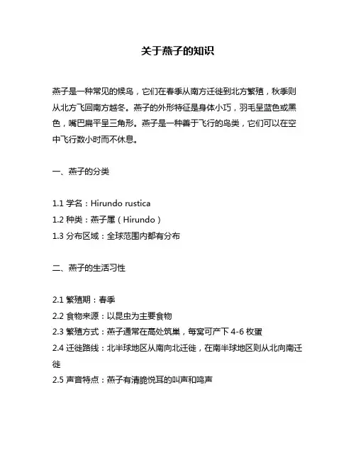 关于燕子的知识