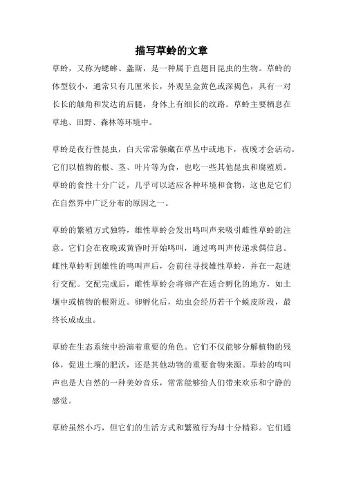描写草蛉的文章