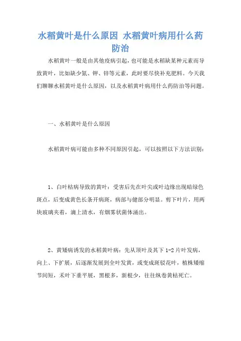 水稻黄叶是什么原因 水稻黄叶病用什么药防治