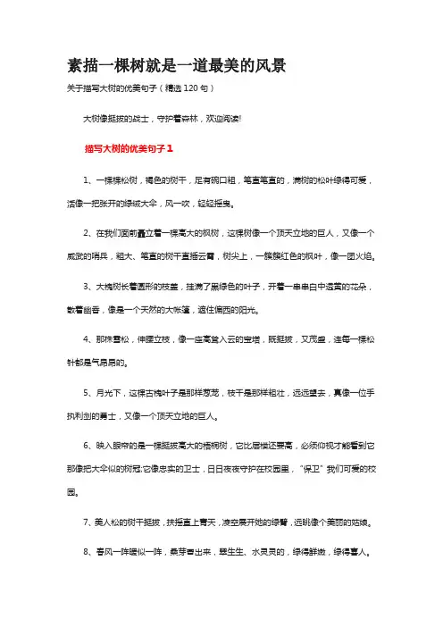 素描大树的文案