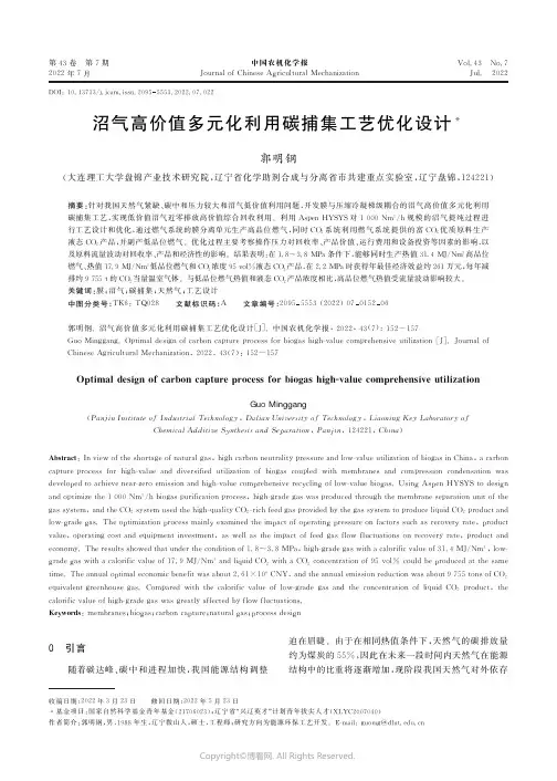 沼气高价值多元化利用碳捕集工艺优化设计