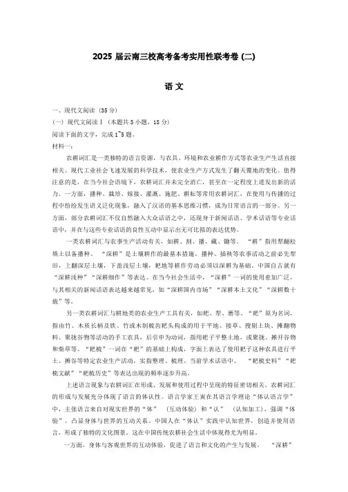 云南三校2025届高三上学期高考备考实用性联考卷(二)语文试题及答案