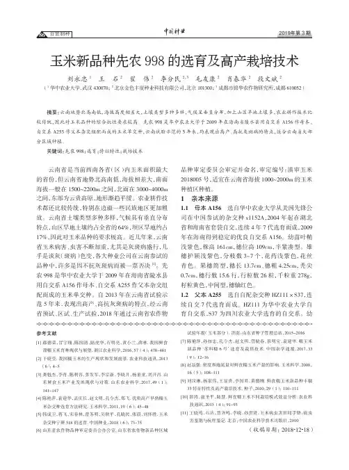 玉米新品种先农998的选育及高产栽培技术