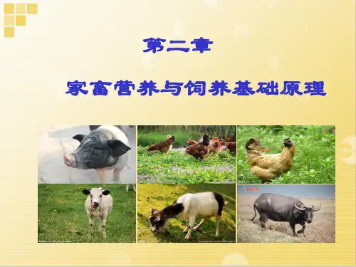 家畜营养与饲养基础原理知识培训课件(PDF 40页)