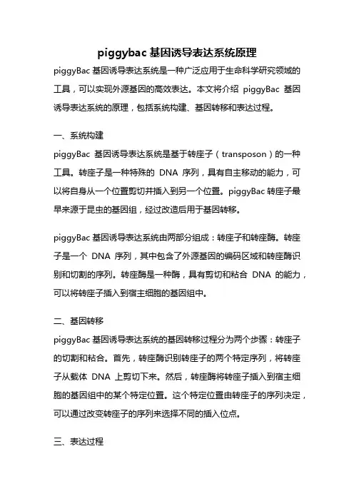 piggybac基因诱导表达系统原理